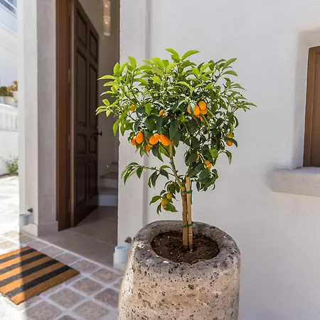 Anagram (adults Only) فندق 2*