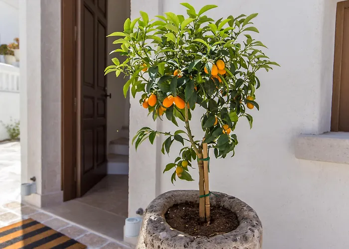 Anagram (adults Only) 酒店 2*